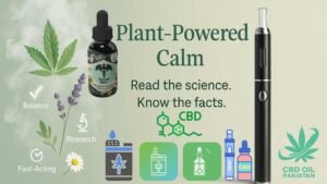 CBD VAPE PAKISTAN