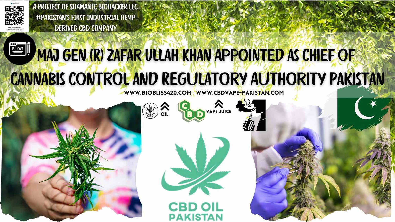 Cannabis control and regulatory authority Pakistan - CBD OIL & VAPE ...