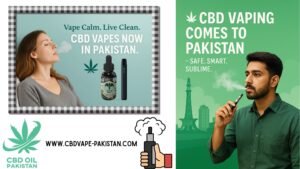Buy CBD Vape Online in Pakistan โ Legal and Trusted Options
