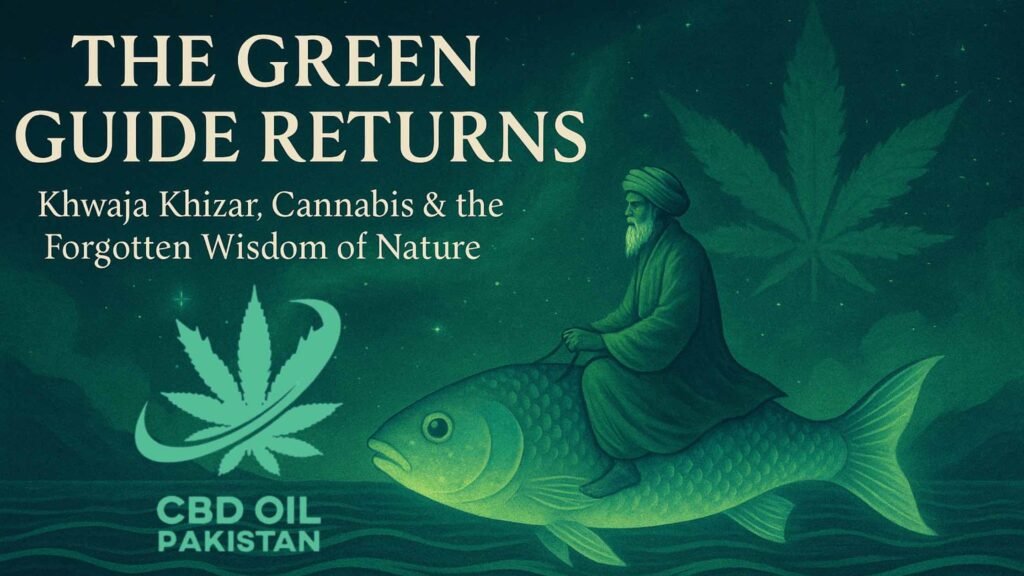 Khizar & Cannabis